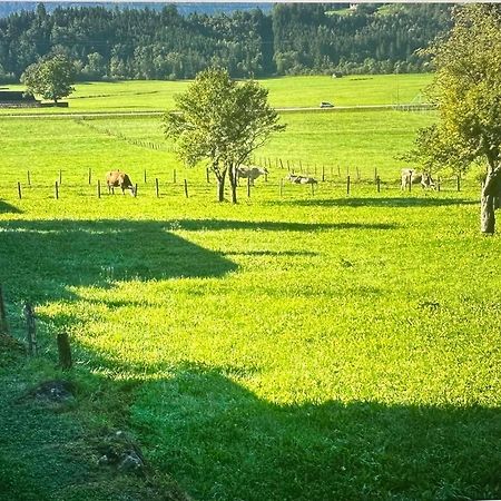 Gemuetliche Kleine Wohnung Mit Garten Unterburg  Kültér fotó